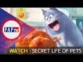 The secret life of pets  pap tv