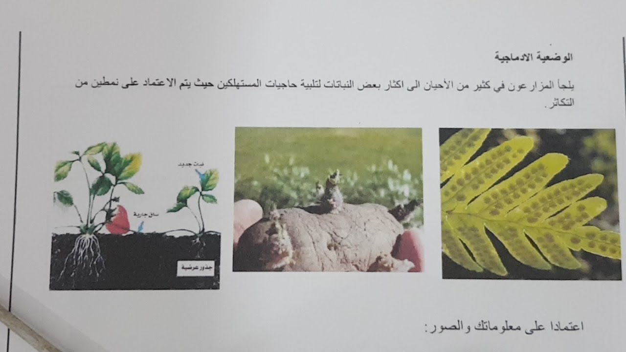 أهم الأسئلة التي ممكن أن ترد في العلوم الثانية متوسط