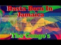 Miniature de la vidéo de la chanson Rasta Born In Jamaica (Special Version)
