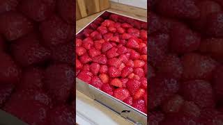 Erdbeeren! Bester Part vom Kuchen!
