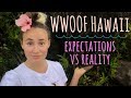 The Reality of Work Trade in Hawaii // Expectations vs. Reality