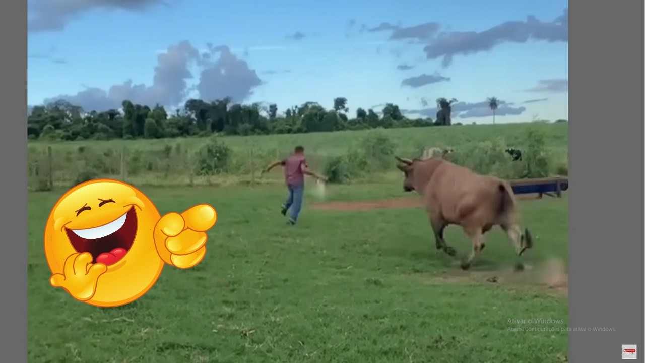Animais de Fazenda Espertos e Engraçados🐄😆 | Parte 21