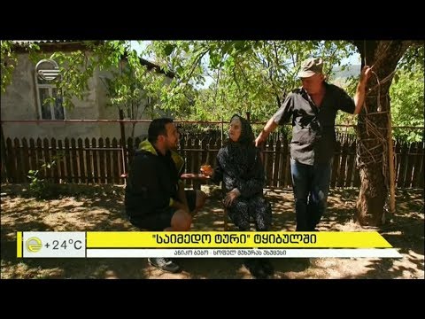 „საიმედო ტური“ ტყიბულში