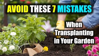 Avoid These 7 Rookie Mistakes When Transplanting in Your Garden