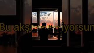 Bu Akşam Gidiyorsun. /Mehmet Sarmış/Şiir