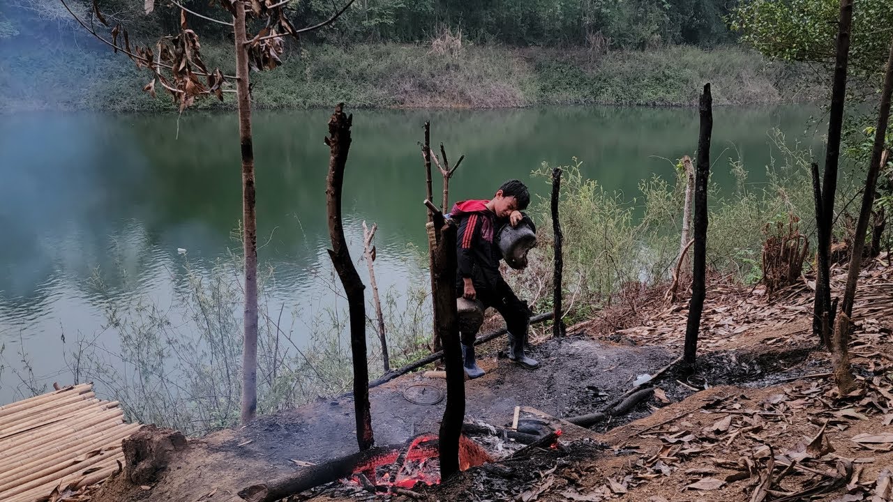 FULL VIDEO 35days after the bamboo house burned down the boy Khai set a trap for wild boars to sell