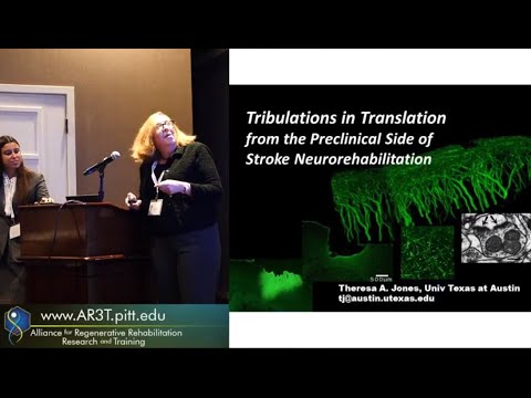 Tribulations In Translation From The Preclinical Side Of Stroke Neurorehabilitation
