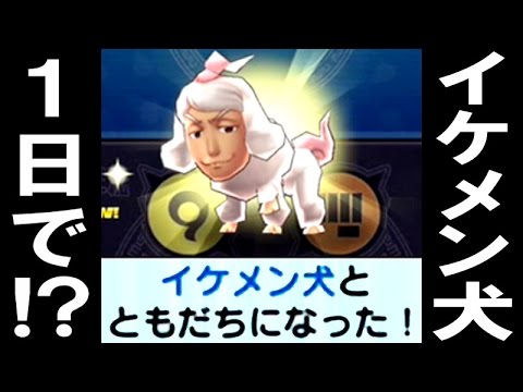 妖怪ウォッチぷにぷに ひとだま どう使いこなすの Q Movie Com