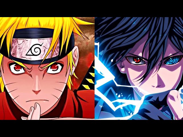 anime fighters boras｜TikTok Search