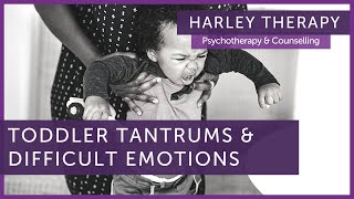 How to Deal with Toddler Tantrums and Big Emotions in Kids - Harley Therapy by Harley Therapy - Psychotherapy & Counselling 309 views 10 months ago 5 minutes, 4 seconds