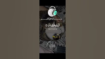القران الكريم حياة القلوب 💕 🩺