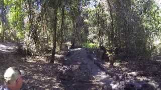 NFAC 4X4 Levuka October 2013