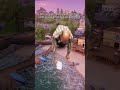 #Meme #MemeCut #fortnite #fortnitememes #trendingvideo