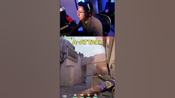 3 FREE INFO Gekko Lineups for ASCENT You Should Know!