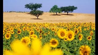 Férias de Natal no Alentejo (Beja + Vila de Cuba)