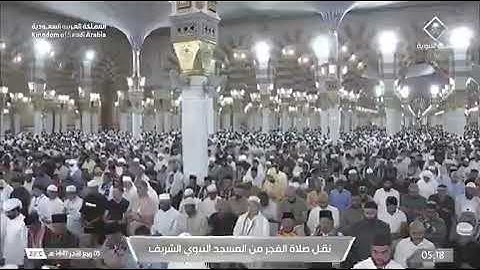 صلاة الفجر المسجد النبوي الشيخ خالد المهنا | السبت 5 ربيع الآخر 1447هـ خواتيم سورة الزمر.