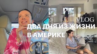 Что у меня с колледжем? | Покупки и быт в ЛА vlog