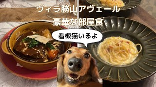 【犬連れ千葉旅行】部屋食で美味しい洋食!ヴィラ勝山アヴェール