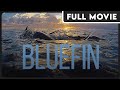 Bluefin 1080p full documentary  animal conservation educational environmental