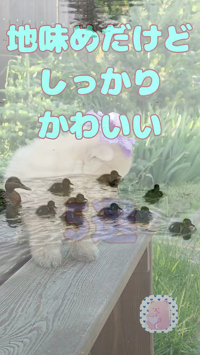 5 Plain but Cute Angelic Seven-Digit Gifts