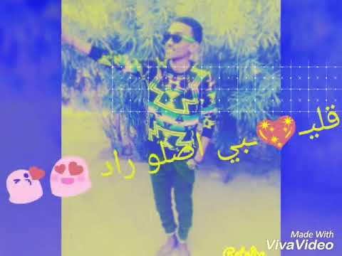 زولي الاخدر