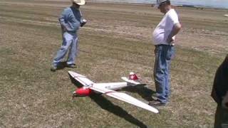 Maiden Flight and Crash of the Minimoa Model Airplane
