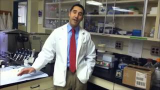 Attending Medical School is More Than Academic