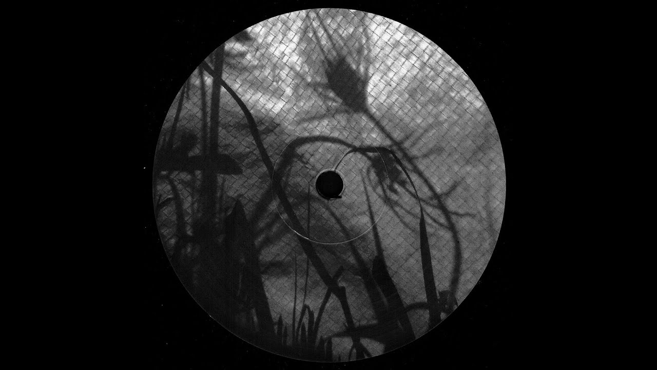 Dwig - Fettwanzenblues