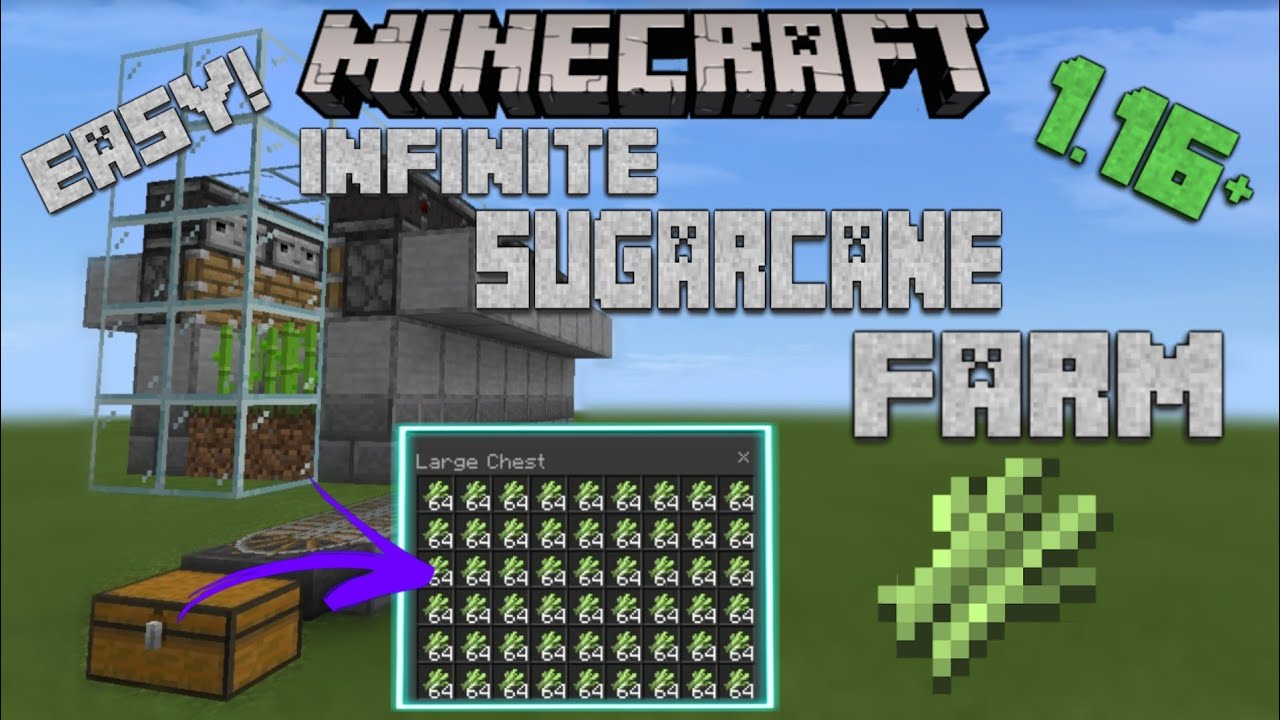 EASY AND SIMPLE MINECRAFT SUGARCANE FARM 1.16+ [JAVA/BEDROCK] - YouTube