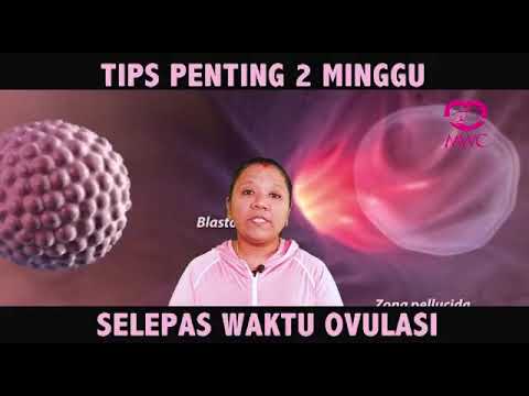 tips penting semasa fasa selepas ovulasi anda. terutama untuk wanita usaha hamil