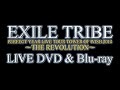 EXILE TRIBE / 「EXILE TRIBE PERFECT YEAR LIVE TOUR TOWER OF WISH 2014 〜THE REVOLUTION〜」LIVE DVD