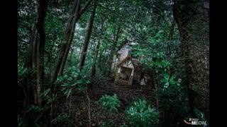Exploring the Eerie Beauty of Abandoned