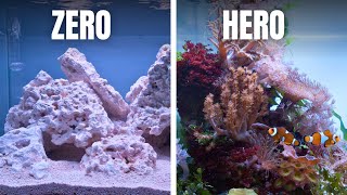 COMPLETE SALTWATER AQUARIUM BEGINNERS GUIDE - EP3: Adding Inhabitants & Corals!