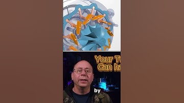 Ep. 9: Avoid Engine Damage! Datalogging explained