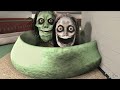 Creepy antites In haunted kidsroom(the classrooms)