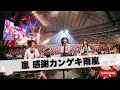 感謝カンゲキ雨嵐 / 嵐【涙拭って見上げた空 ガールズバンド|AIカバー】