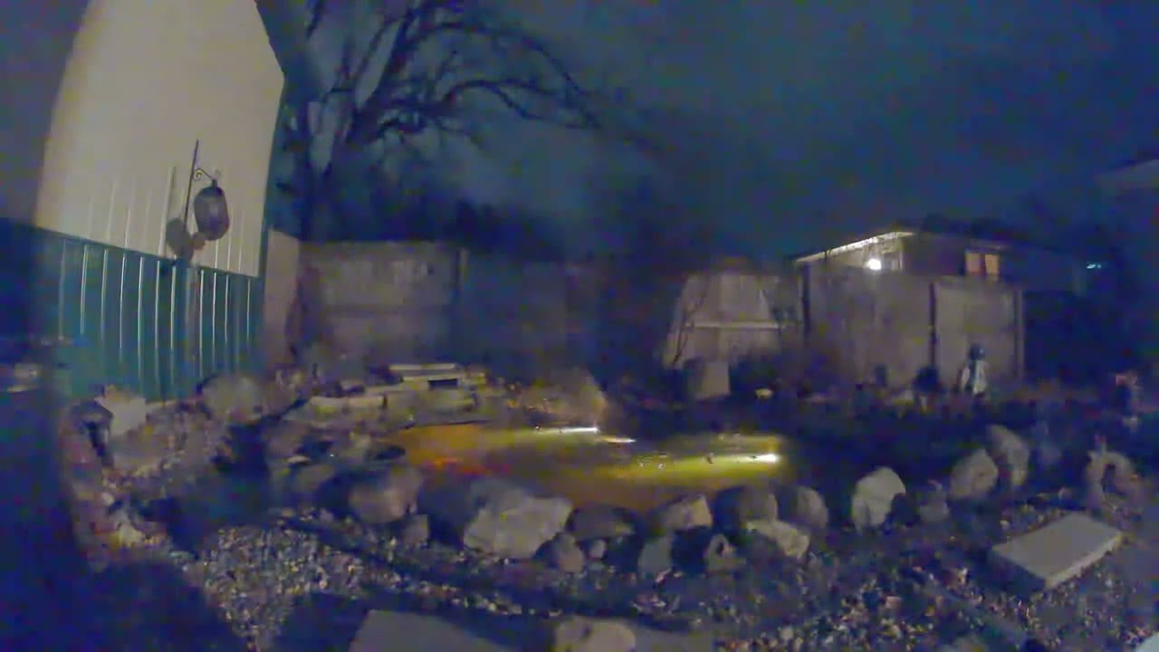 Owl attack / stopped by a net (KOI fish)