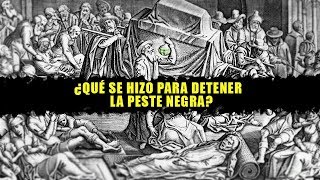 ¿Qué se hizo para detener  la peste negra?