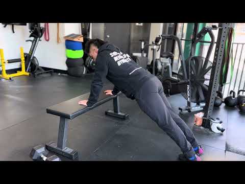 Incline Scap Push Ups