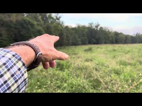 Greg discusses a variety of topics while inspecting our lush Gama Grass field.