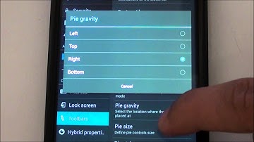 Google Nexus 4 with ParanoidAndroid 2.99 (With Pie Beta 4)