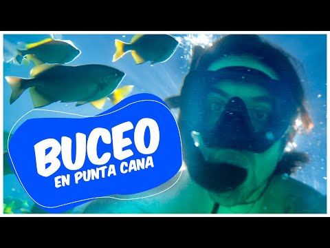 🐟🤿 DIVING WITH FISH 🇩🇴 - PART 3