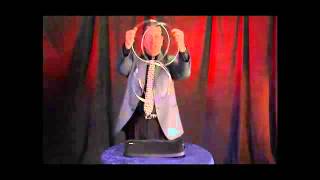 Linking Ring Video