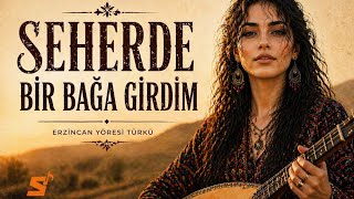 Seherde Bir Bağa Girdim Enerjik Türkü Cover - Sepya Band 