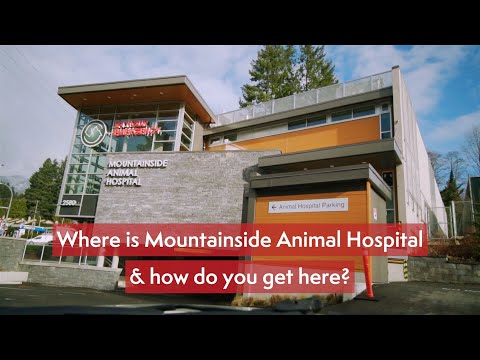 Directions and Location of Mountainside Animal Hospital