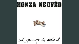 Video thumbnail of "Honza Nedved - Papirky"