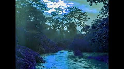 Pulsating Ambiance for Private Monday