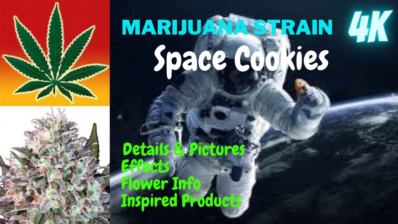 Space Cookies Marijuana Flower Details & Pictures  In 4K With Music by  Eric Clapton   For Your Love