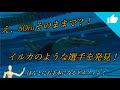 イルカのようなドルフィンキック!