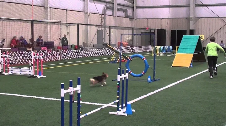 Sherry Hogan GCKC Std Apr 2014 Sat